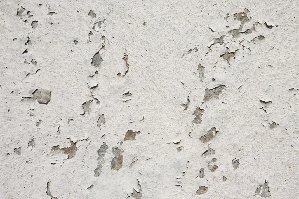 ChatGPT Image 28 feb 2026 12 08 09 q85 1772471722 7941