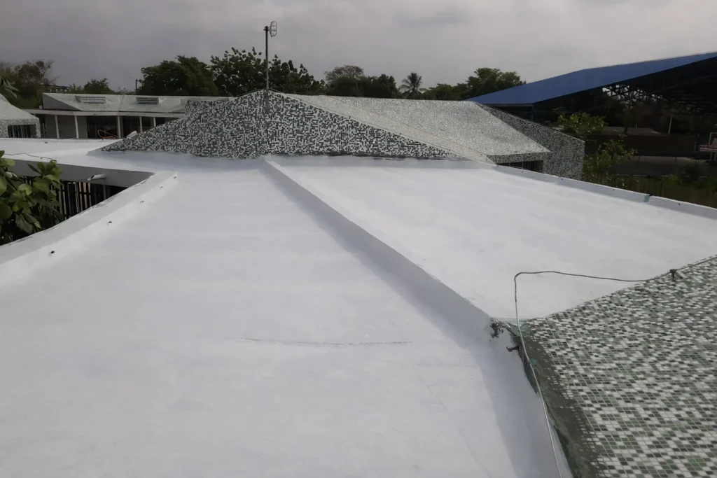 ChatGPT Image 28 feb 2026 12 11 59 q85 1772471721 4316