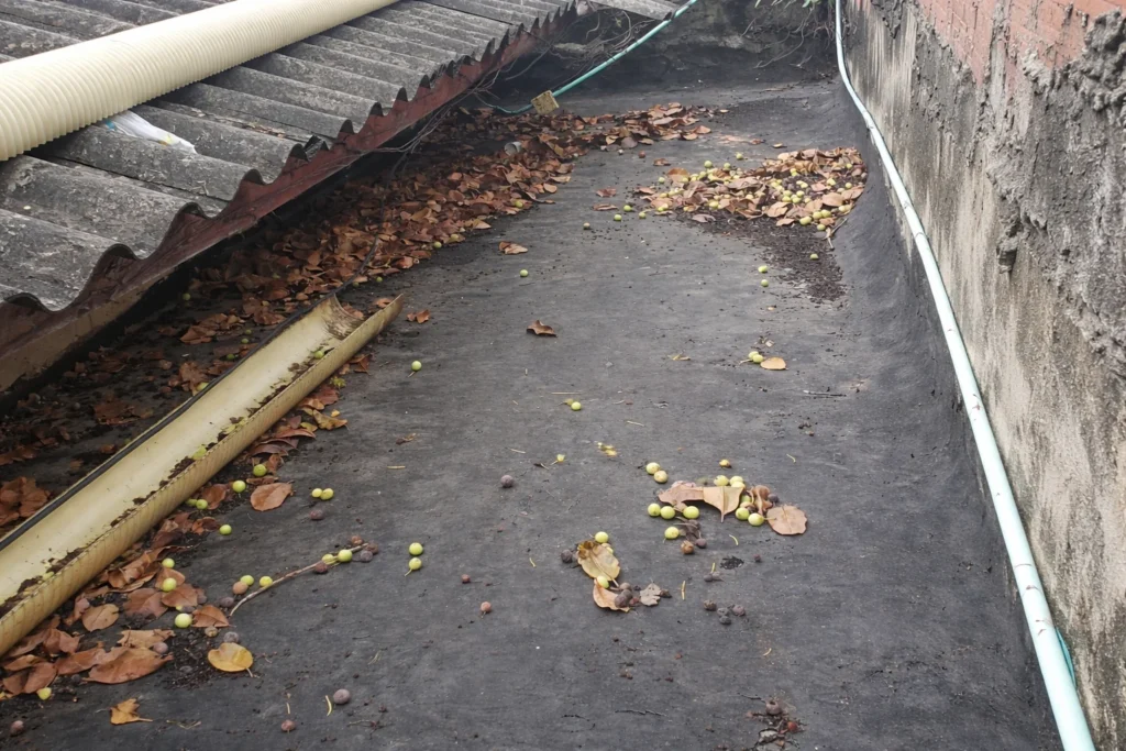 Caso de éxito: Reparación de filtraciones en techos — Seguridad Atlas en Barranquilla (oficina/local) 1 Antes: techo con descolgamiento parcial y filtraciones activas en oficina de Seguridad Atlas en Barranquilla